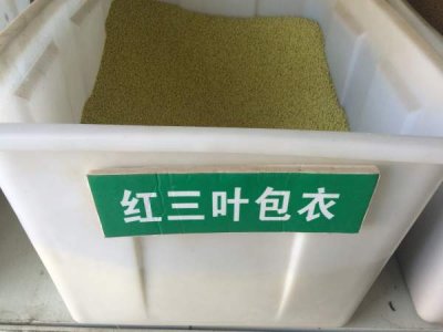 哪里有賣進口紅三葉種子的？