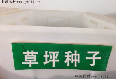 草籽護坡王多少錢一斤？