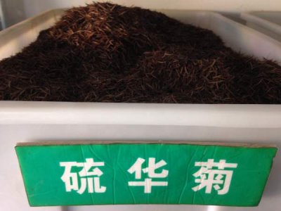 硫華菊種子價格哪家最低？
