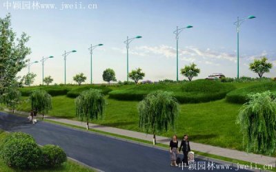 高速公路的護坡常常栽種什么？