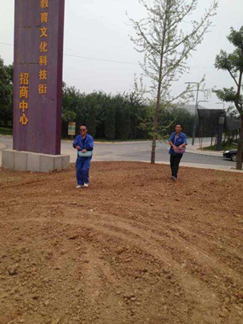1537523254134014.jpg 撒種圖片2.jpg