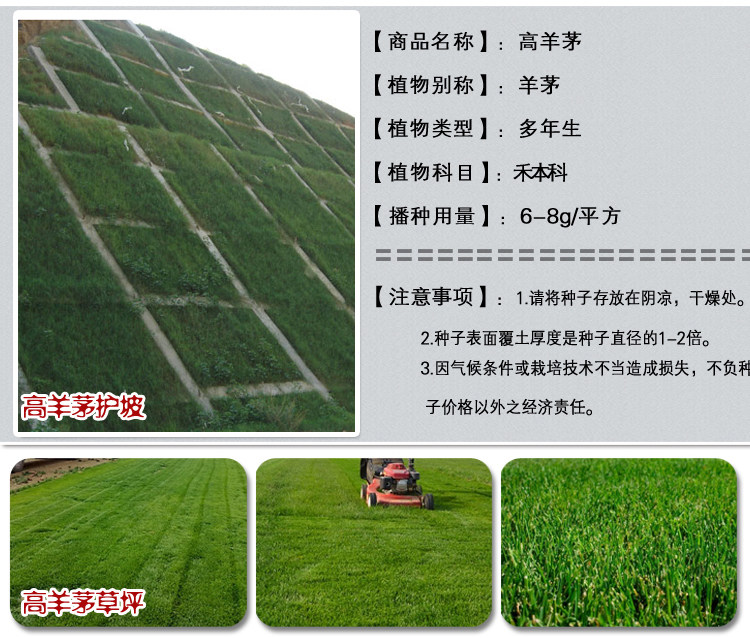 百慕大護坡1.jpg