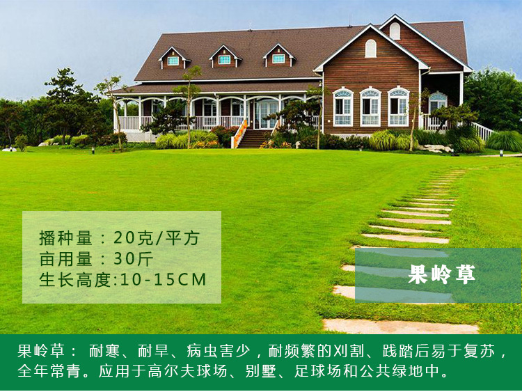 果嶺草1.jpg