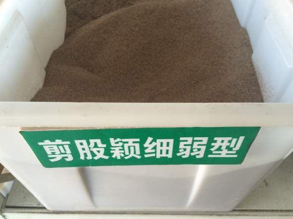 剪股穎細弱型.jpg