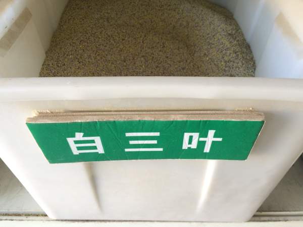 白三葉.jpg