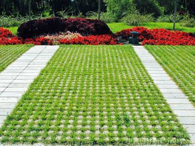 連鎖式植草護坡磚撒什么草種？