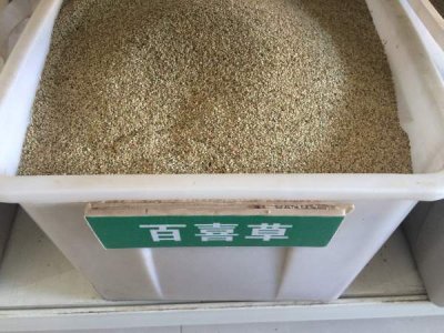百喜草護坡效果怎么樣？