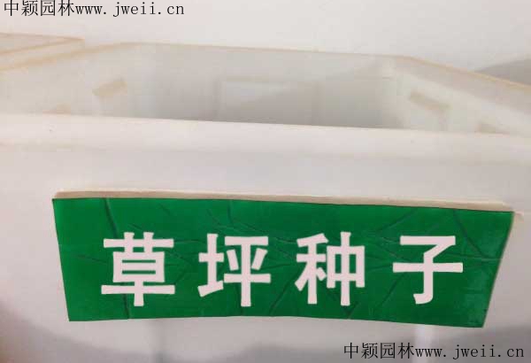 1567405515917450.jpg 草坪種子1_副本.jpg