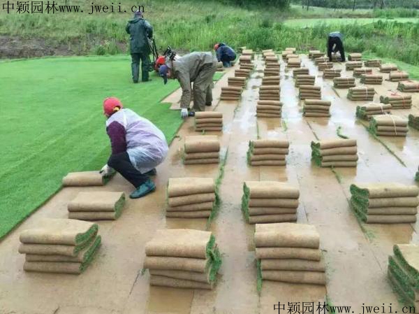 高爾夫_副本.jpg