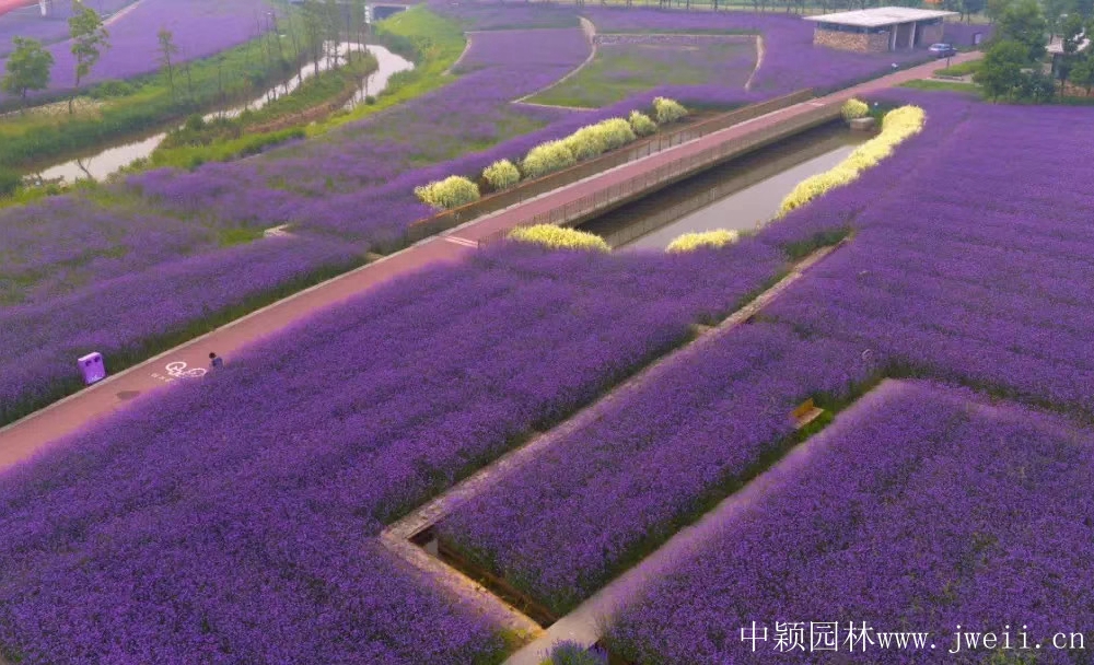 微信圖片_20200401204037.jpg