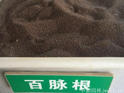 百脈根草籽多少錢一斤，哪里有賣？