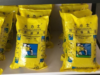 甜高粱牧草畝產量是多少？