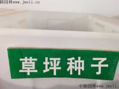 草平草種多少錢一斤？