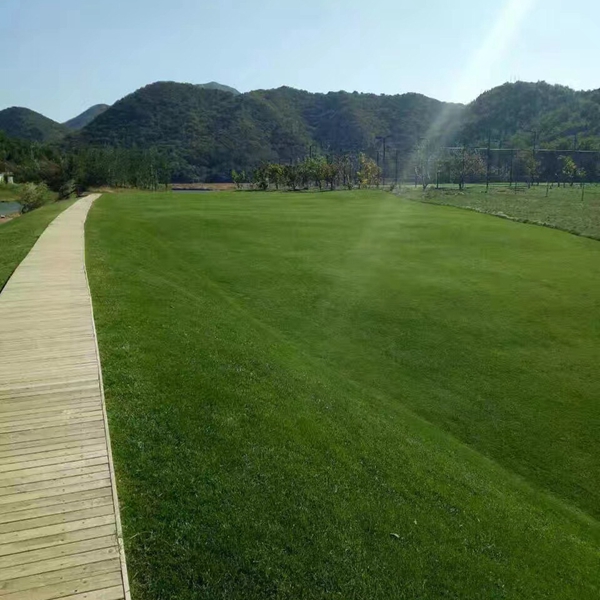 馬尼拉5.JPG