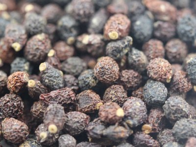 鳶尾花種子的種植方法是什么？