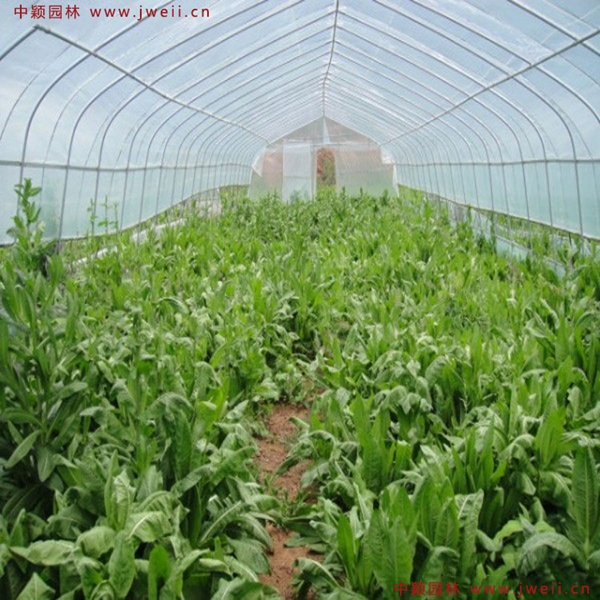 1638927345353674.jpg 1_副本.jpg