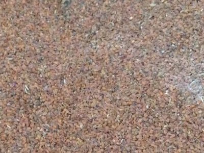 香雪球種子播種后幾天發芽？播種后多久可以開花