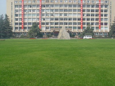 黑麥草結種子嗎？