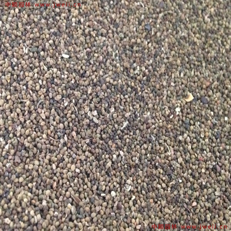 1649770792337898.jpg