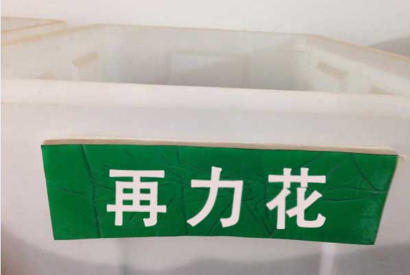 1649900213169109.png