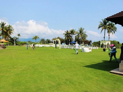 狗芽根草坪種子價格查詢