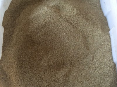 草坪種子價格去年和今年比較