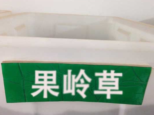果嶺草1.jpg