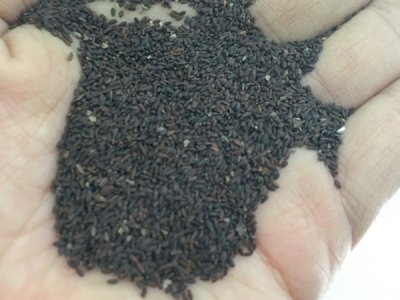 草花種子每平米播多少斤？