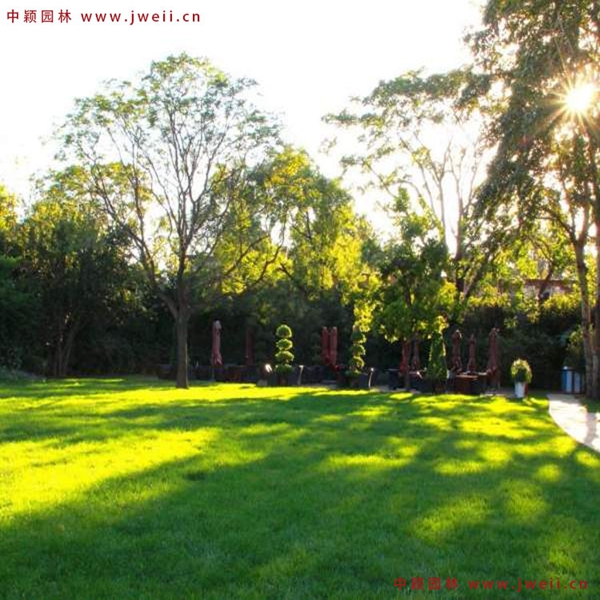 1655707584754984.jpg 8_副本.jpg