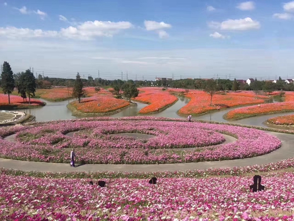 1669282735998607.jpg 野花組合13.jpg