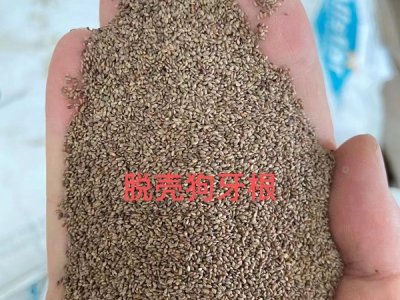 草花種子種植費用情況
