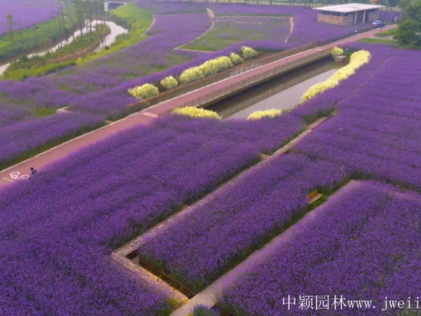 微信圖片_20200401204037.jpg