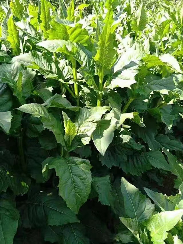 1676365043145732.jpg 微信圖片_20230210210618.jpg