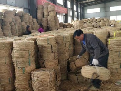 用草繩纏繞樹木的目的