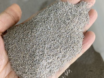 草坪死掉了直接撒種子