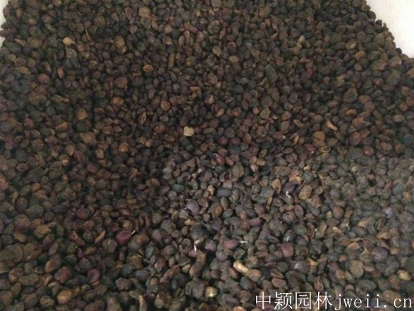 1649755604708851.jpg