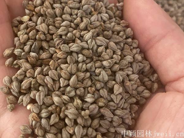 1691915328768383.jpg 微信圖片_20230813160321.jpg