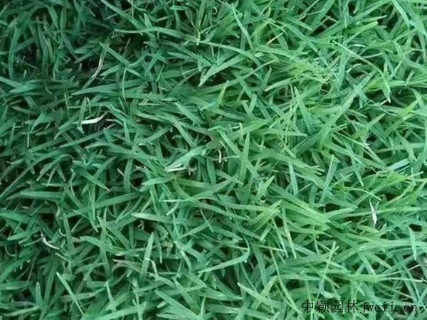 1694220183306852.jpg 微信圖片_20230620191334.jpg