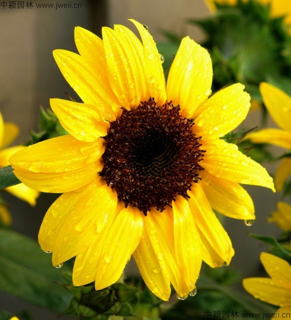1-1F92514595Q28.jpg
