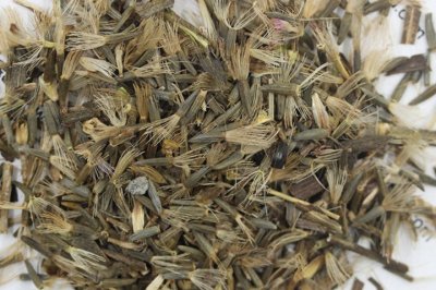 大量批發蛇鞭菊種子，價格便宜質量好