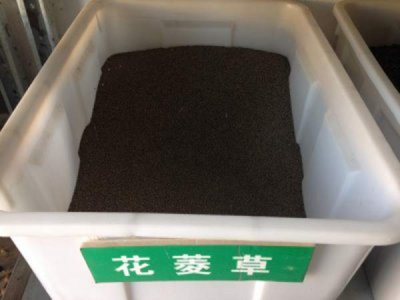 花菱草種子哪里有賣？