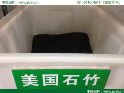 虞美人的發芽溫度是多少？
