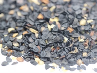 花卉種子美國石竹多少錢一斤？