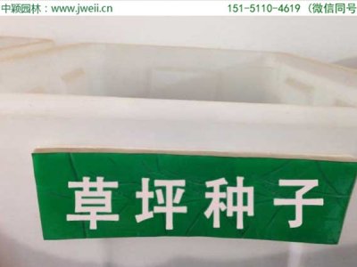 種草坪選擇什么種子？
