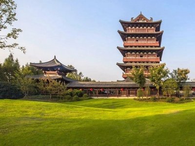 蘭引三號草坪種子批發價格