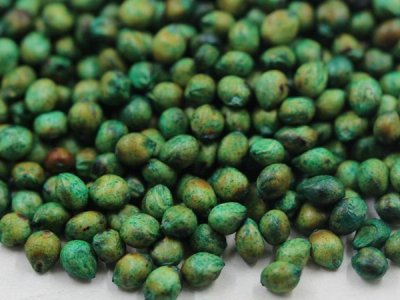 ?大力士甜高粱牧草